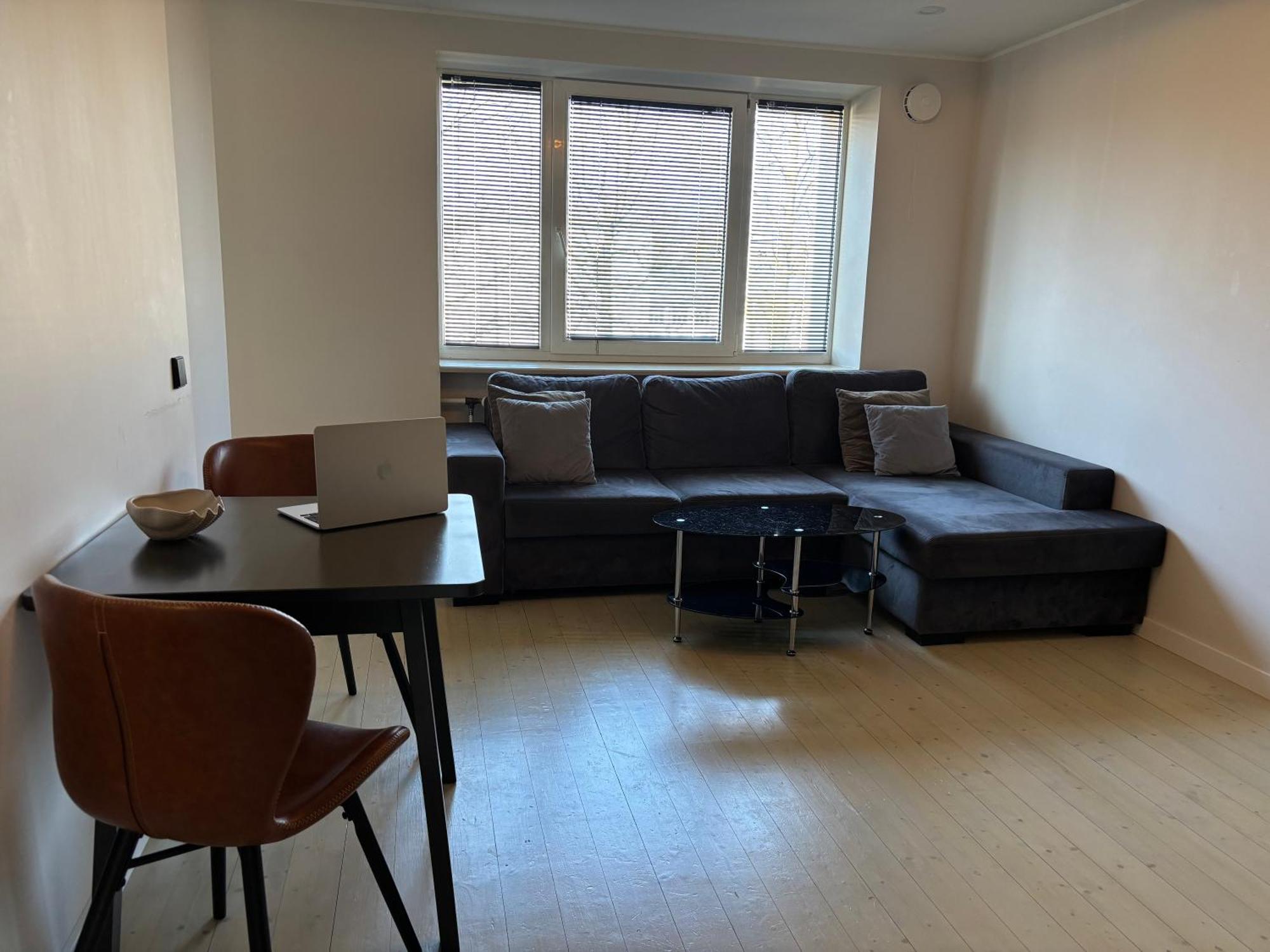 Apartment Tammsaare Luxury Parnu